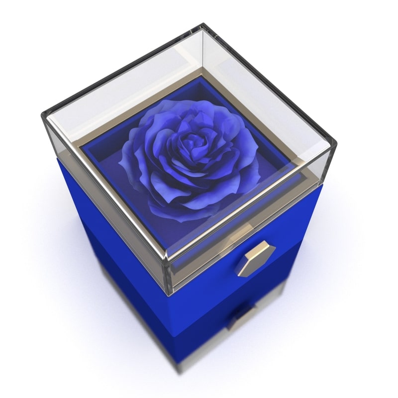 Eternal Rose Box-W/ Hidden Engraving Necklace – EternLuv